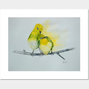 A pair of Silver-eyes, bird art Posters and Art